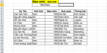 cach-tao-filter-trong-1-o-excel