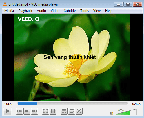 cach-chen-chu-vao-video-online