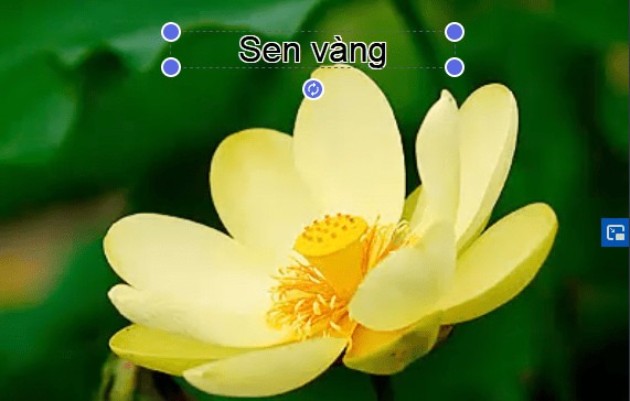 cach-chen-chu-vao-video-online