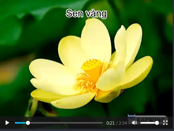 cach-chen-chu-vao-video-online