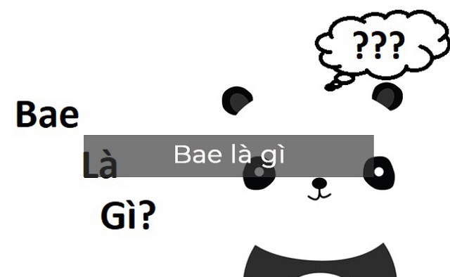 Bae nghĩa là gì