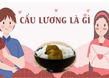 Cẩu lương là gì
