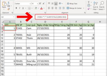 Đánh số thứ tự bằng hàm MAX